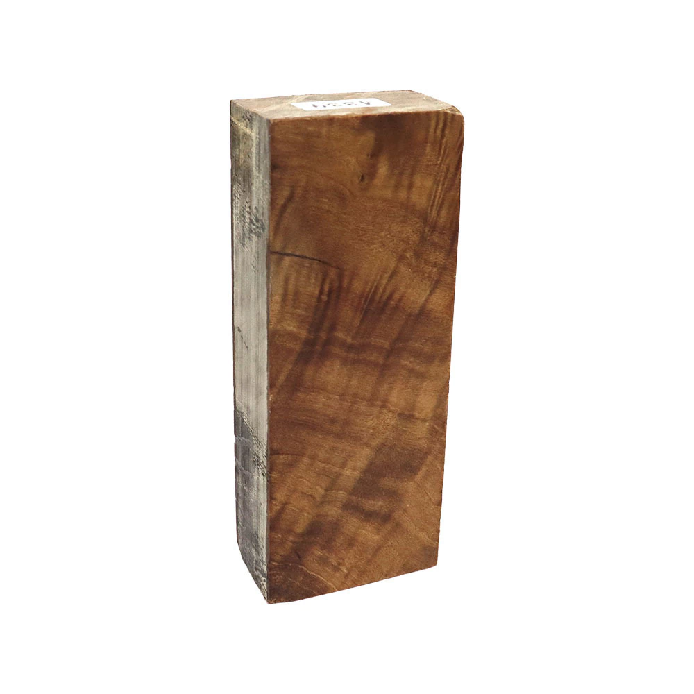Stabilized Álamo Burl block, extra-large size